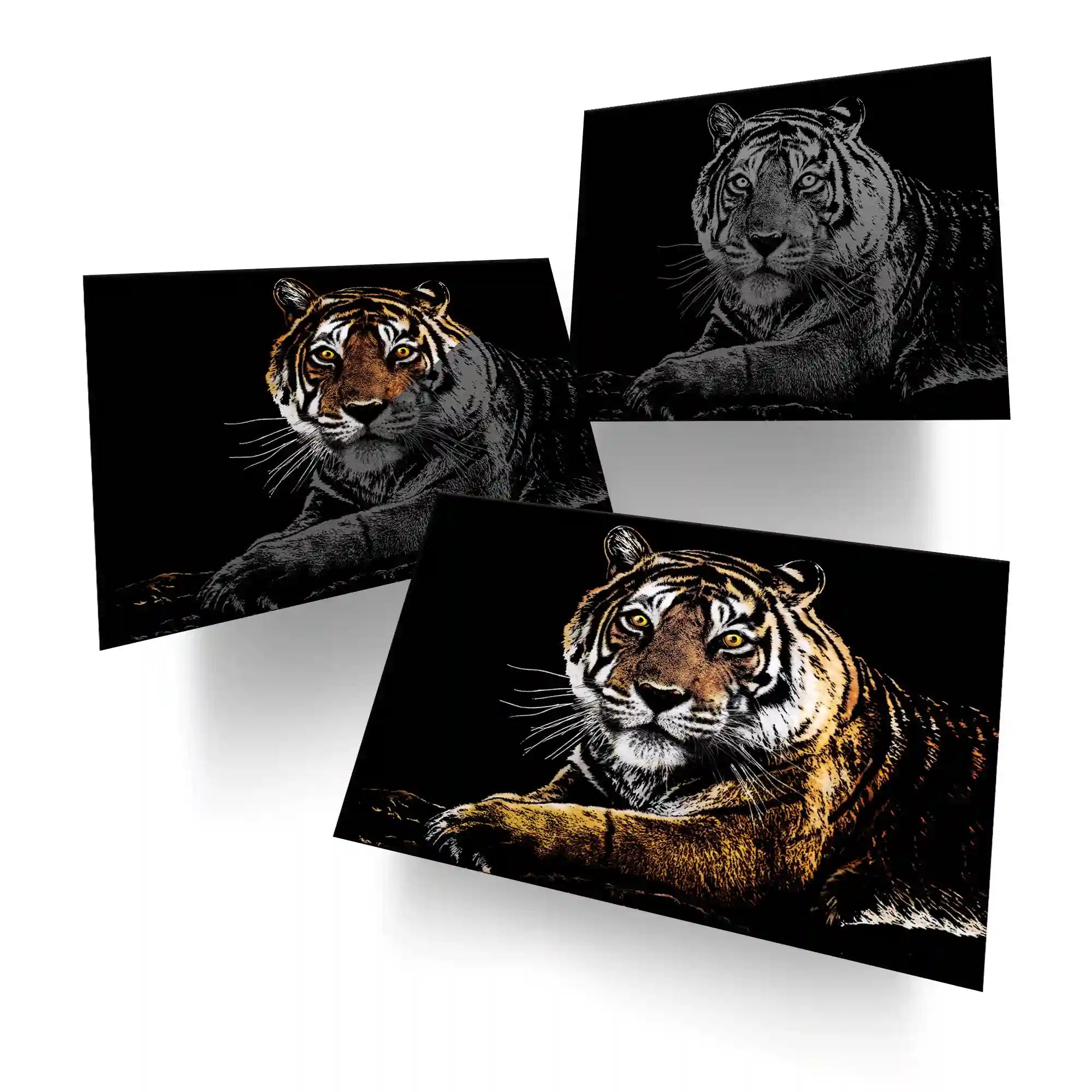 Tigris